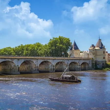 Daire Sydney Charme Et Jardin I Sejour Pro Ou Romantique Châtellerault