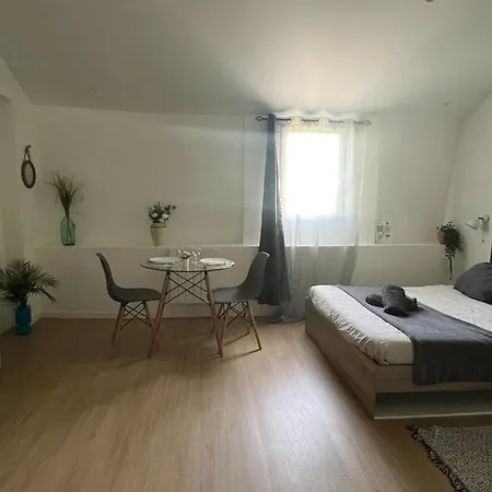 Sydney Charme Et Jardin I Sejour Pro Ou Romantique Appartement Châtellerault