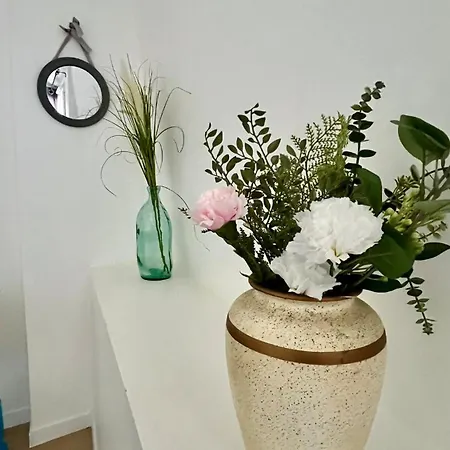 Daire Sydney Charme Et Jardin I Sejour Pro Ou Romantique Châtellerault