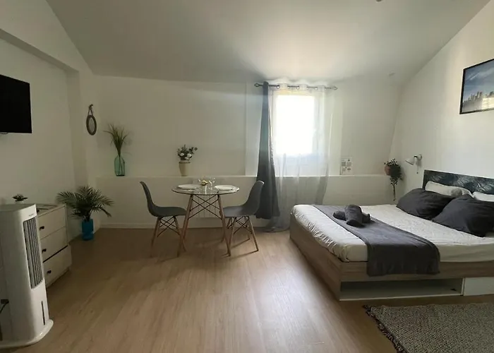 Sydney Charme Et Jardin I Sejour Pro Ou Romantique Apartment Chatellerault