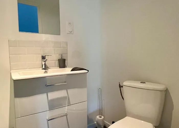 Sydney Charme Et Jardin I Sejour Pro Ou Romantique Apartment Chatellerault